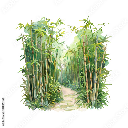 bamboo forest path vector illustration in watercolor style