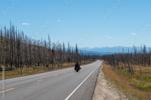 Motorcyclist rides through a scorched landscape along a scenic road in an area recovering from wildfires in early summer