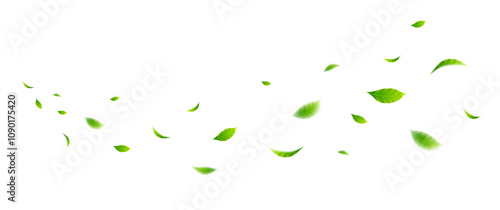 Flying leaves design, suitable for design elements