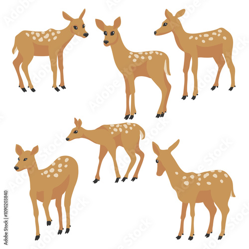 vector drawing set of animals, sika deer, isolated at white background