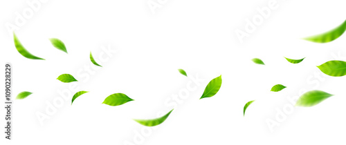 Flying leaves design, suitable for design elements