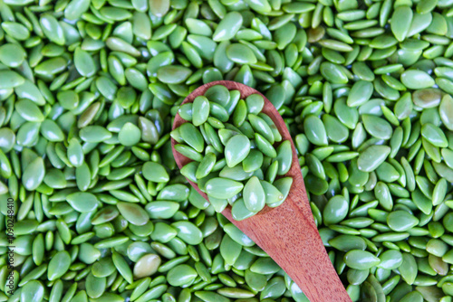 Lamtoro, kemlandingan, petai selong or chinese petai (Leucaena leucocephala) on wodden spoon. Food ingredients photo