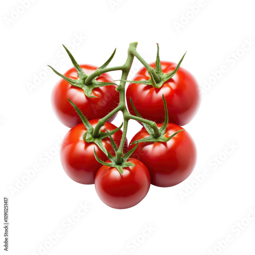 Wallpaper Mural Fresh Red Tomatoes on the Vine, Isolated on White  Background Torontodigital.ca