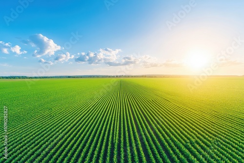 Aerial view of spring farmland, rows of newly planted crops stretching across fertile earth, vibrant greens contrasting with moist brown soil