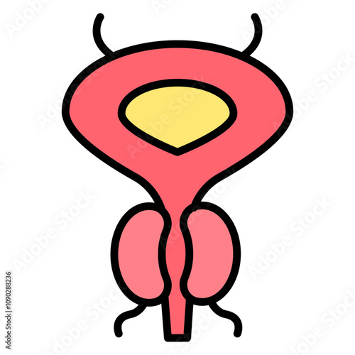 Prostate icon vector image. Can be used for Human Anatomy.