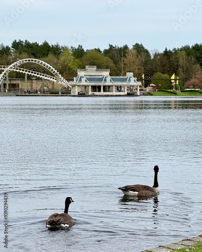 See mit Kanadagänsen und moderner Architektur im Hintergrund Enten Gänse Teich Freizeitpark Achterbahn Park Deutschland photo