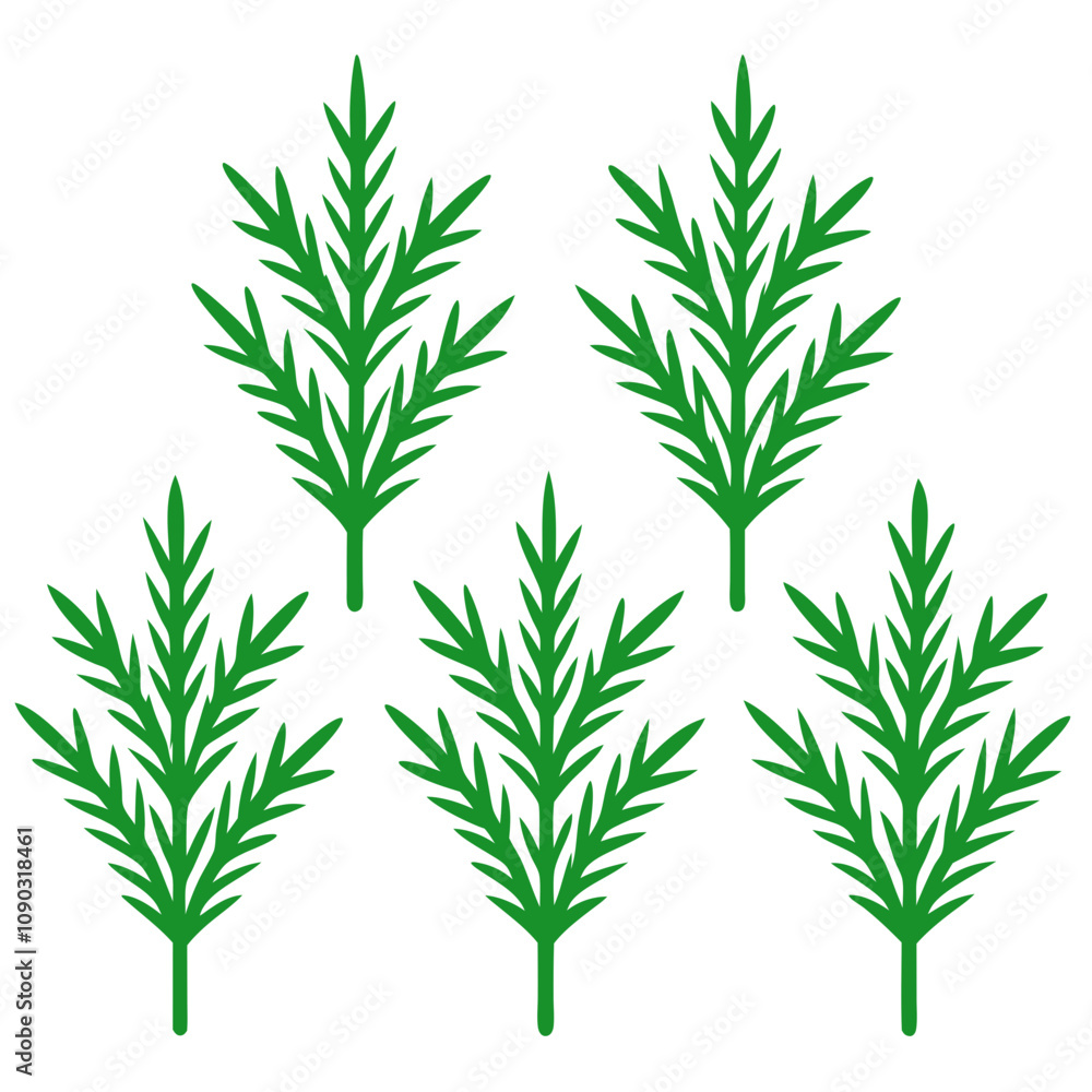 Fototapeta premium dill isolated on white