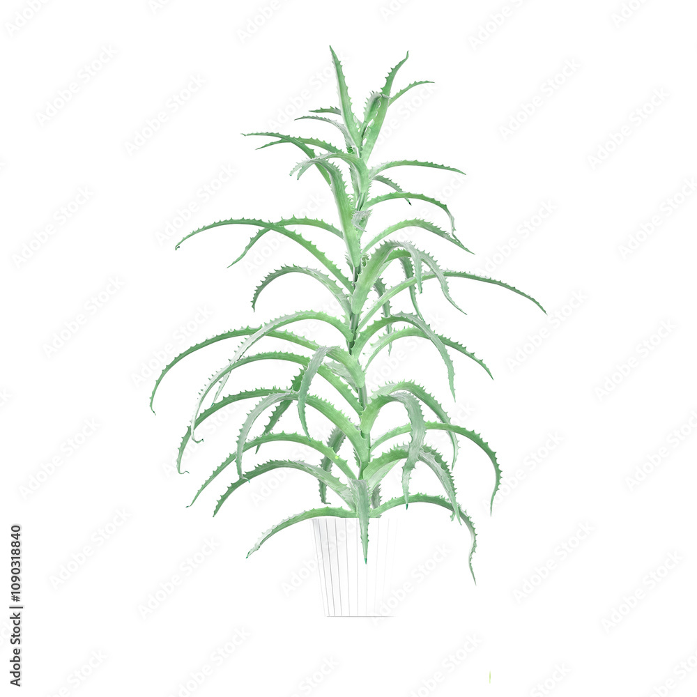 Fototapeta premium aloe plant in pot isolated canvas