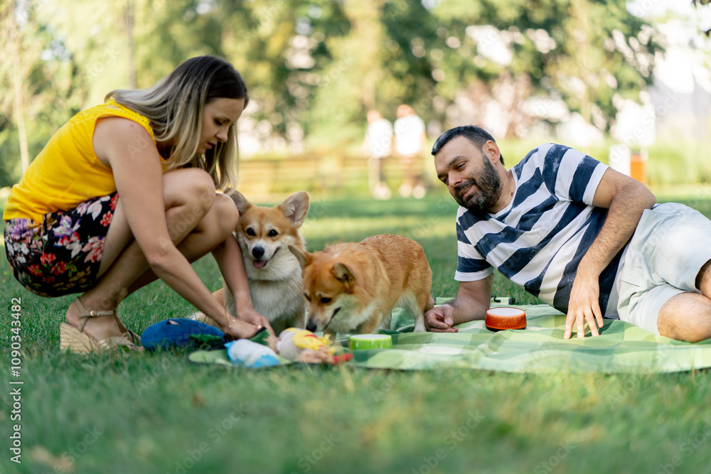 in the park in summer a couple lying on a blanket side by side corgi dogs resting favorite toys treats for dogs love for animals big family in the park in summer a couple lying on a blanket side by side corgi dogs resting favorite toys treats for dogs love for animals big family