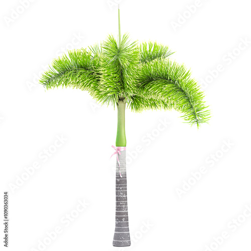 collection of Wodyetia bifurcata palm tree with realistic style photo