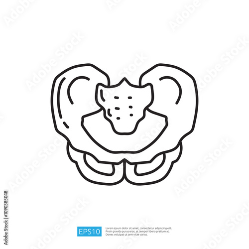 A simple line drawing of a human pelvis, illustrating its anatomical structure for educational or medical purposes.