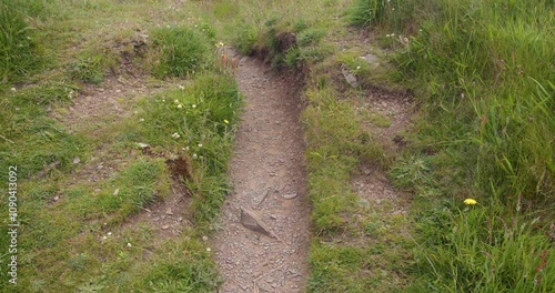 Mid shot of coastal erosion footpath at isle head lighthouse at Isle head, Isle of Whithorn. photo