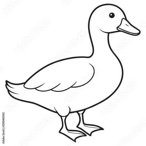 Simple Duck Line Drawing Illustration