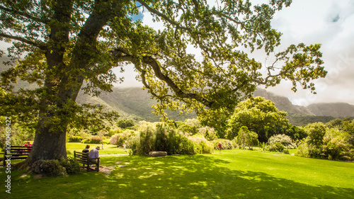 Kirstenbosch Garden Scenic View