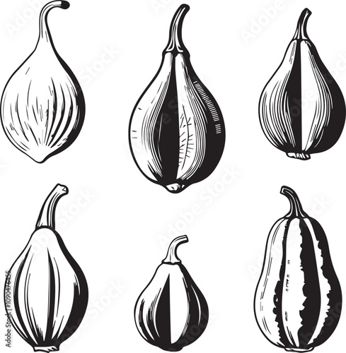 High-Quality Common Fig Silhouette Design - Vector Art