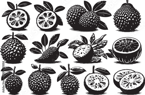 Wallpaper Mural Black and White Vector Illustration of Santol Fruits: Whole, Halved, and with Leaves - Botanical Art, Graphic Design Element Torontodigital.ca