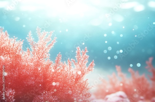 Underwater scene featuring vibrant coral with soft light and bubbles in a tranquil ocean setting. photo