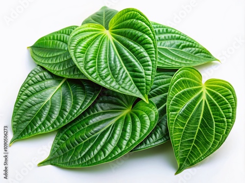 Exotic Taioba Leaves from Brazil: A Conceptual Still Life on a White Background Capturing the Unique Texture and Vibrant Colors of Xanthosoma Sagittifolium for Culinary Inspiration photo