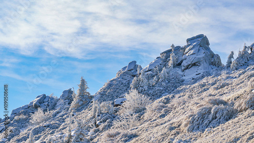 Wallpaper Mural Frosted mountain landscape with rugged rocky peaks and snow-covered trees under a bright blue sky. The scene is calm and cold, with delicate frost layering the vegetation Torontodigital.ca