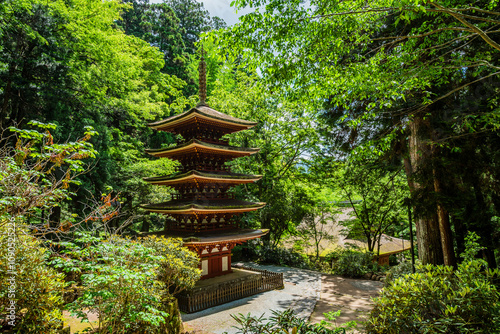 女人高野室生寺 五重塔　奈良県宇陀市室生 photo