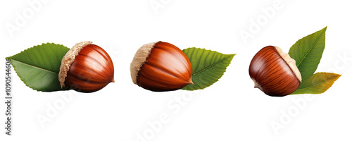 Fresh chestnut on plate with leaf, perfect for healthy snack, transparent background, png file 
