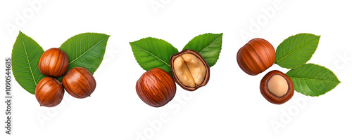 Fresh chestnut with green leaves, showcasing whole and shelled nuts, transparent background, png file 