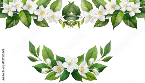 Green Vine Isolated on Transparent Background with Watercolor jasmine Leaves and jasmine flower for Invitations, corner border