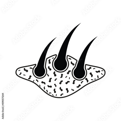 hair health care  logo