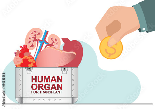 Businessman hand pay money for organs and transplantology.