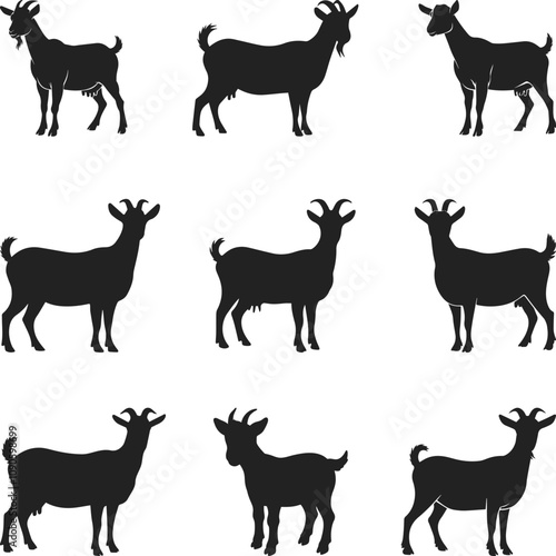 Nigerian Dwarf Goat SVG Vector Silhouette, Show Goat Silhouette Illustration