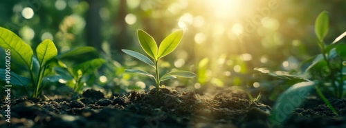 The first young green little sprouts of plants in the dew grow from the ground at dawn in the sunlight on a spring morning. Close up, macro. The concept of the origin of life. Generative AI