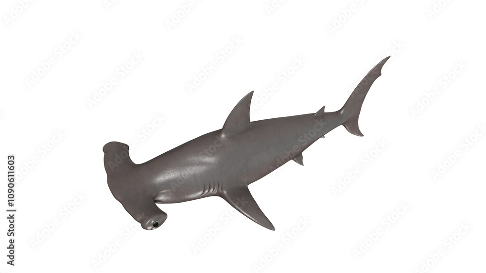 Fototapeta premium hammerhead shark isolated on white