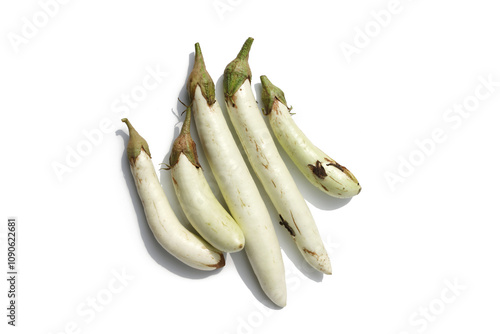 Five white eggplants on a white background