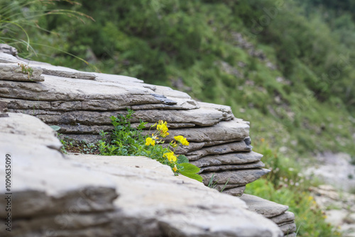 decorative stone wall with a yellow flower between them photo