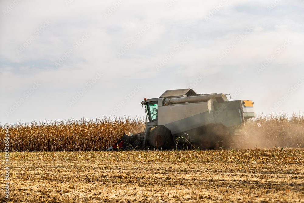 Fototapeta premium Combine harvester at work in a dry corn field under a cloudy sky