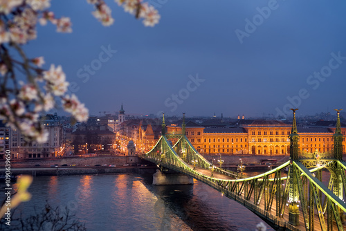 Liberty bridge at night