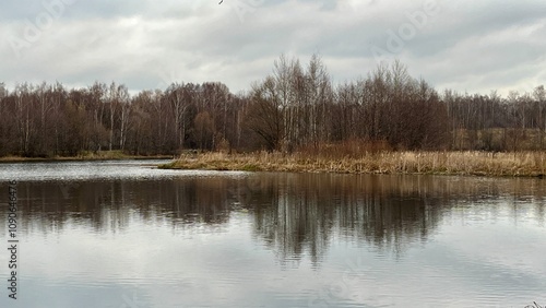 bare trees on calm lake water edge autumn landscape