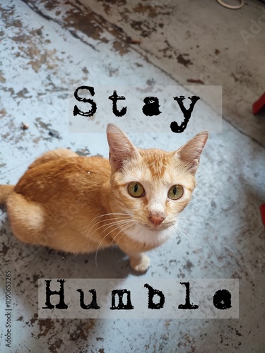 Keep honest. Motivational positive saying with red cat on the floor background.