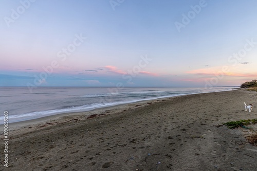 Serene beach at sunset with soft pink skies and sandy shore in evening light photo