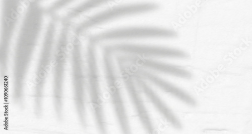 Glare from the sun's rays on the wall. Blurred shadows from leaves and plants in the room. Soft overlay of natural light. Abstract background for product presentation.