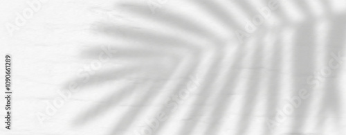 Glare from the sun's rays on the wall. Blurred shadows from leaves and plants in the room. Soft overlay of natural light. Abstract background for product presentation.