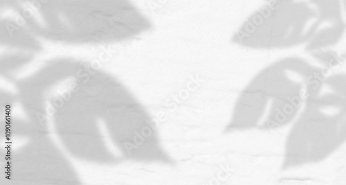 Glare from the sun's rays on the wall. Blurred shadows from leaves and plants in the room. Soft overlay of natural light. Abstract background for product presentation.