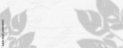 Glare from the sun's rays on the wall. Blurred shadows from leaves and plants in the room. Soft overlay of natural light. Abstract background for product presentation.