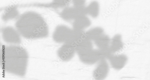 Glare from the sun's rays on the wall. Blurred shadows from leaves and plants in the room. Soft overlay of natural light. Abstract background for product presentation.
