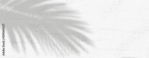 Glare from the sun's rays on the wall. Blurred shadows from leaves and plants in the room. Soft overlay of natural light. Abstract background for product presentation.