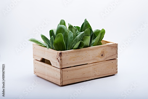 Photo of fresh fruit or vegetables on a light or white background with the freshness of dew