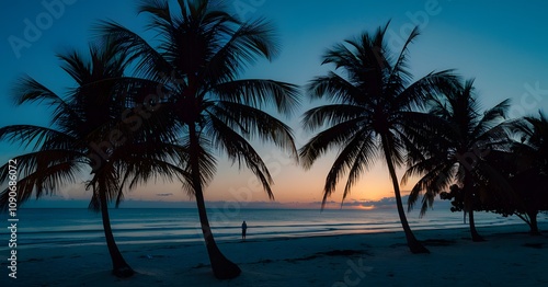 Serene beach sunset with tall palms and calm ocean waves