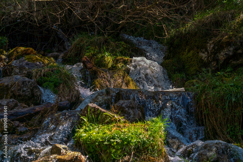 Achensee creek water flow embedded into Tirol forest nature photo