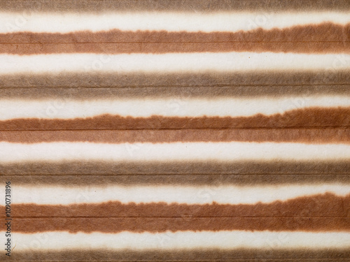 縞模様　和紙　染め