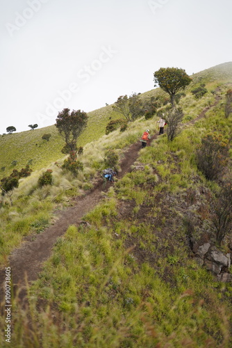 landscape of green  merbabu mountain
